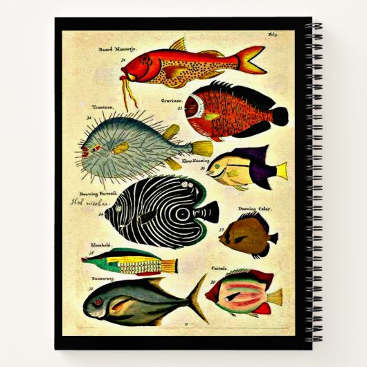 Carnet empreinte de poisson (Dos)