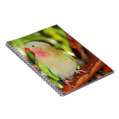 Carnet Empreinte verte princess parakee (Côté Droit)