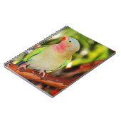 Carnet Empreinte verte princess parakee (Côté gauche)