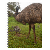 Carnet Emu Daddy Avec Des Poussins, (Devant)