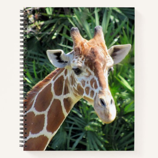 Carnet en girafe - 8,5 x 11, 8,5 x 8,5, ou Coeur (Devant)