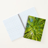 Carnet En regardant à travers les feuilles d'arbres verts (Intérieur)