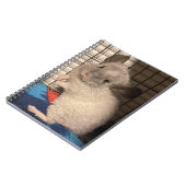 Carnet en spirale Chinchilla (Côté gauche)