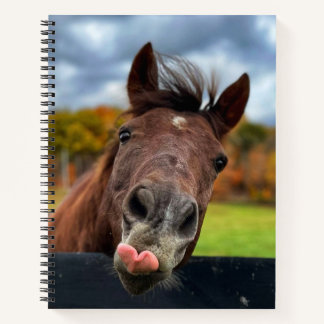 Carnet en spirale de cheval mou