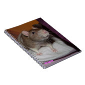 carnet en spirale de rat à rire (Côté Droit)