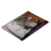 carnet en spirale de rat à rire (Côté gauche)