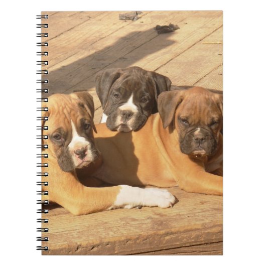 Carnet en spirale des chiots (Devant)