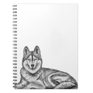 Carnet Encre noire et blanche et aquarelle Siberian Husky