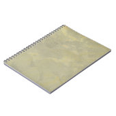 Carnet Enduit métallisé argent et or (Côté gauche)