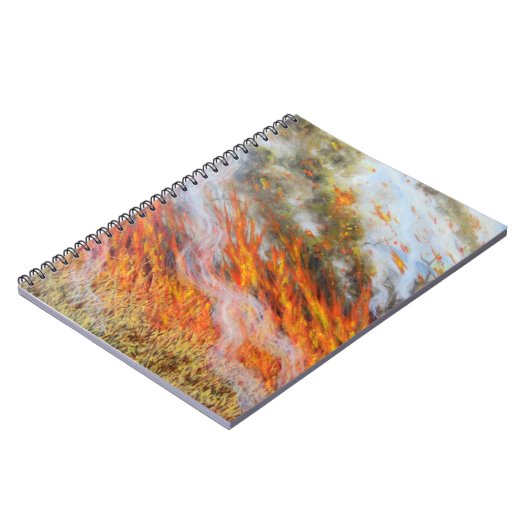 Carnet Enfer 2014 du feu de brousse (Côté gauche)