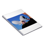 Carnet Engel fubby sur mon épaule avec Monster stimulant (Côté Droit)