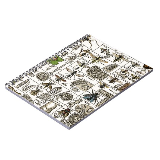 Carnet Entomologie vintage (Côté gauche)