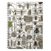Carnet Entomologie vintage (Devant)