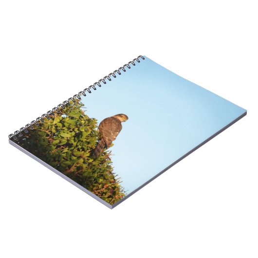 Carnet Épervier (Côté gauche)