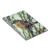 Carnet Épervier dans l'arborescence (Côté Droit)