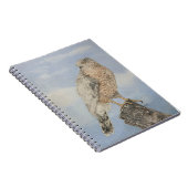 Carnet Épervier de Cooper (Côté Droit)