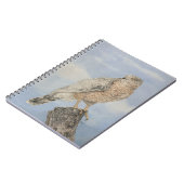 Carnet Épervier de Cooper (Côté gauche)