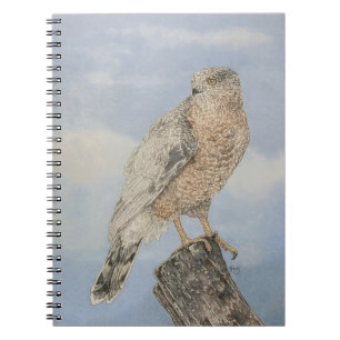 Carnet Épervier de Cooper