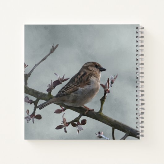 Carnet Épervier sur la photo de branche (Dos)