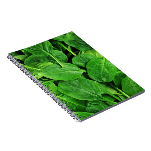 Carnet Épinards (Côté Droit)