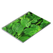 Carnet Épinards (Côté gauche)