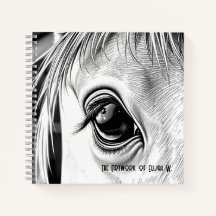 Equine Gaze  - Spiral Sketch Book