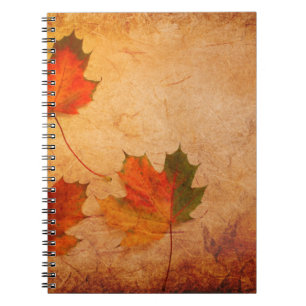 Carnet Érable arrière - plan texture