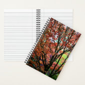 Carnet Érable Coloré d'Automne (À l'intérieur)