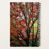 Carnet Érable Coloré d'Automne (Verso)