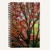 Carnet Érable Coloré d'Automne (Recto)