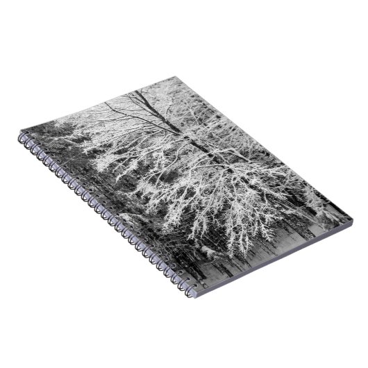 Carnet Érable En Neige (Côté Droit)