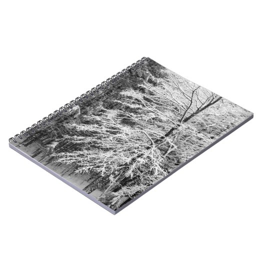 Carnet Érable En Neige (Côté gauche)