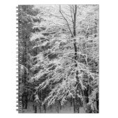 Carnet Érable En Neige (Devant)