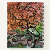 Carnet Érable japonais tordu (Dos)