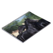 Carnet Éraflure arabe de cheval (Côté gauche)