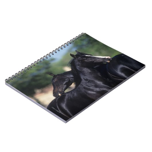 Carnet Éraflure arabe de cheval (Côté gauche)
