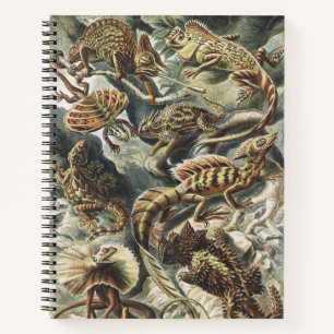 Carnet Ernst Haeckel Art Vintage Reptile Lézard Nature