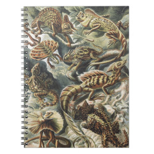 Carnet Ernst Haeckel Art Vintage Reptile Lézard Nature