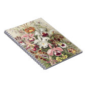 Carnet ErnstHaeckel Vintage Botanical Orchid Illustration (Côté Droit)