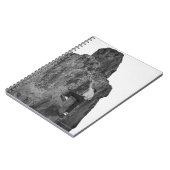 Carnet Escalade de roche d'homme (Côté gauche)