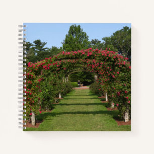 Carnet Escalade Rose Arch Elizabeth Park Garden Hartford