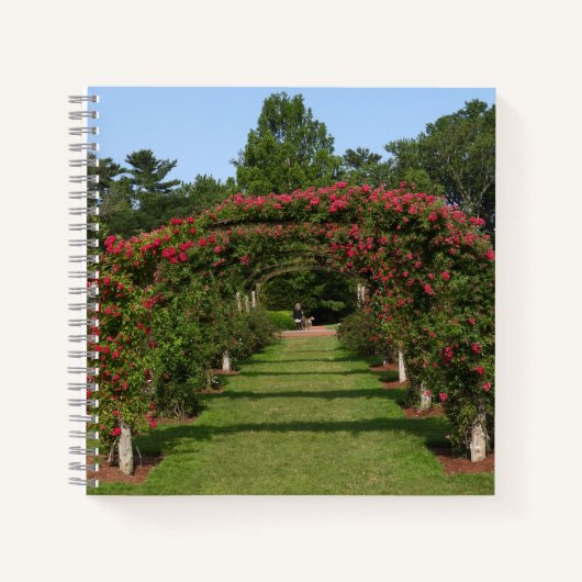 Carnet Escalade Rose Arch Elizabeth Park Garden Hartford (Devant)