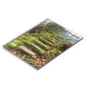Carnet escalier de forêt (Côté gauche)