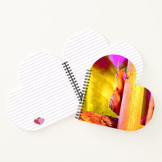 Carnet Escargot (Intérieur)