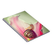 Carnet Escargot (Côté Droit)