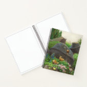 Carnet Escargots dans un jardin de rochers (par H.A. Bren (Intérieur)