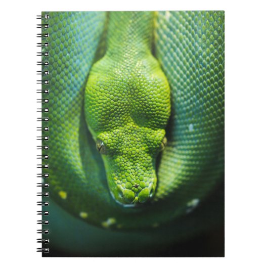 CARNET ESNAKE VERT (Devant)