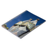 Carnet Espagne, Catalogne, Barcelone. Casa Batllo (1906). (Côté gauche)