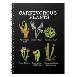 Carnet Espèces Plantes carnivores Saracenia Vénus Flytrap