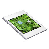 Carnet Espoir (Côté Droit)